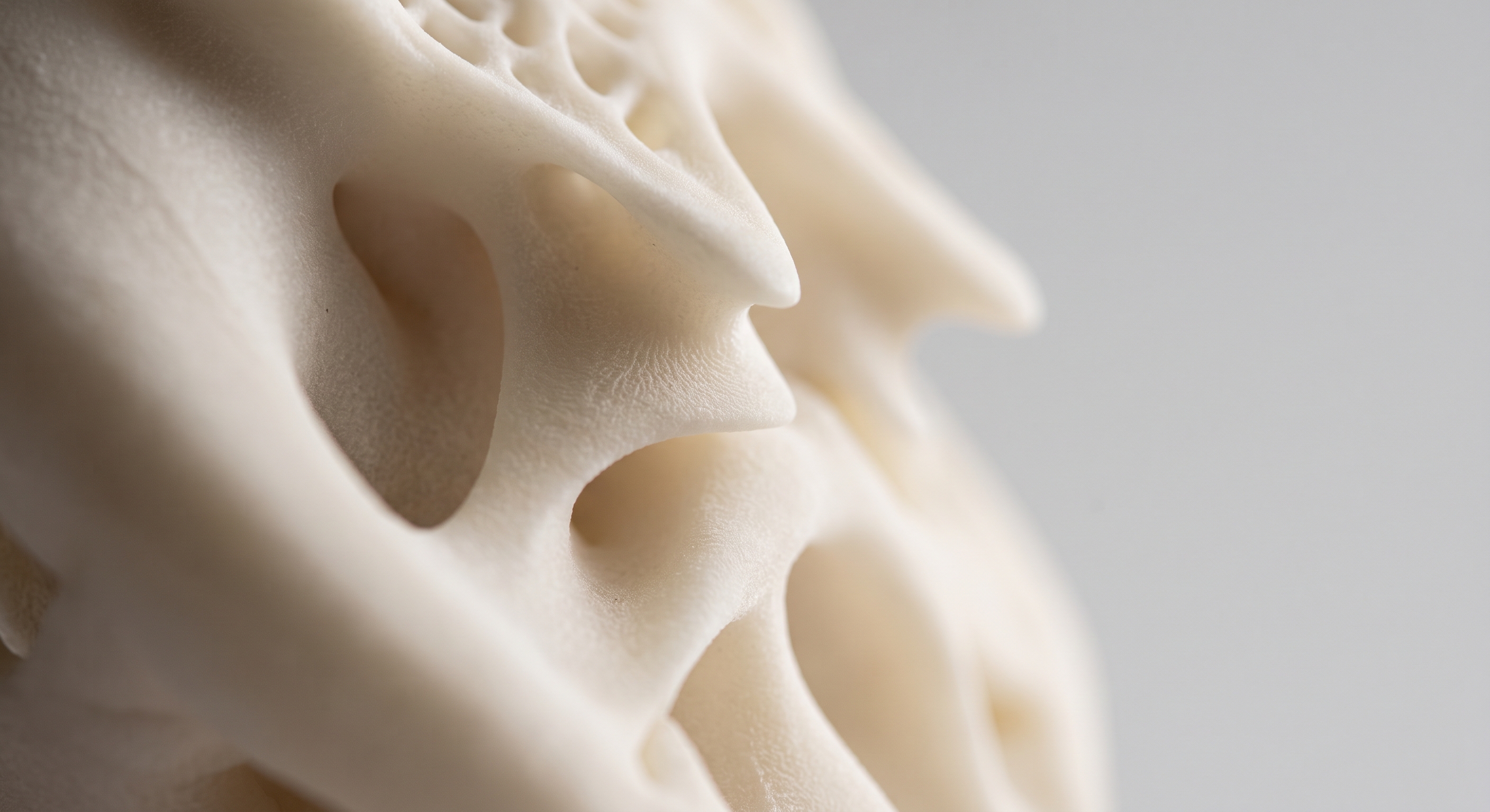 Détail macro de sculpture 3D fine et sans défaut